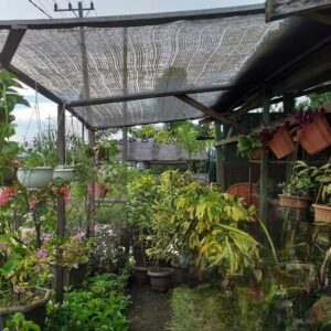 Aplikasi Paranet di Rumah