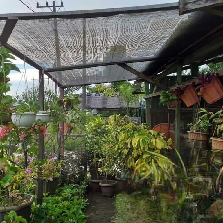 Aplikasi Paranet di Rumah
