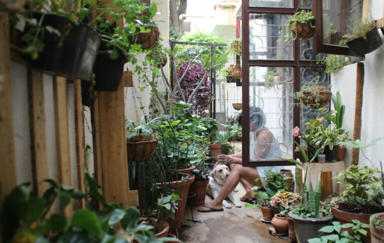 inspirasi halaman rumah
